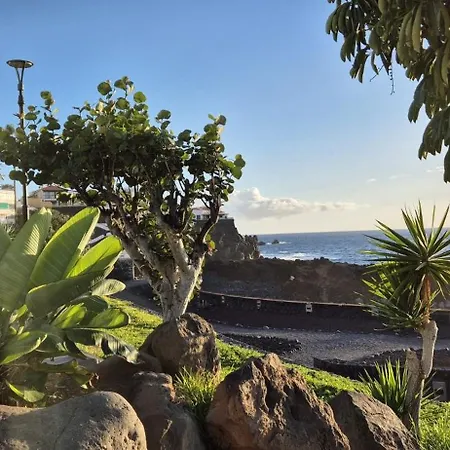 Sunset Flower * Puerto de Santiago (Tenerife)